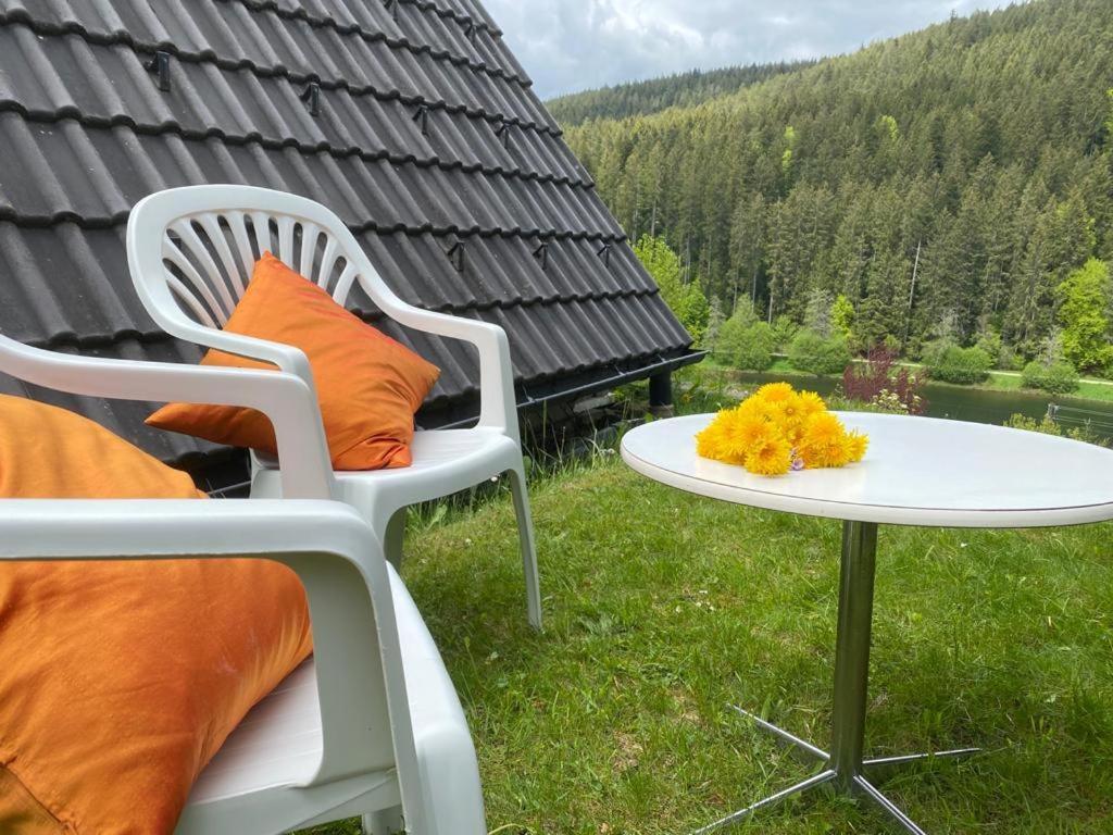Haus Adler - Komplettes Ferienhaus Am Badesee Erzgrube Exteriér fotografie