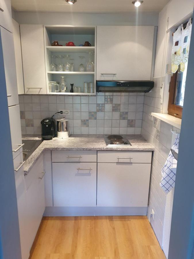 Haus Adler - Komplettes Ferienhaus Am Badesee Erzgrube Exteriér fotografie