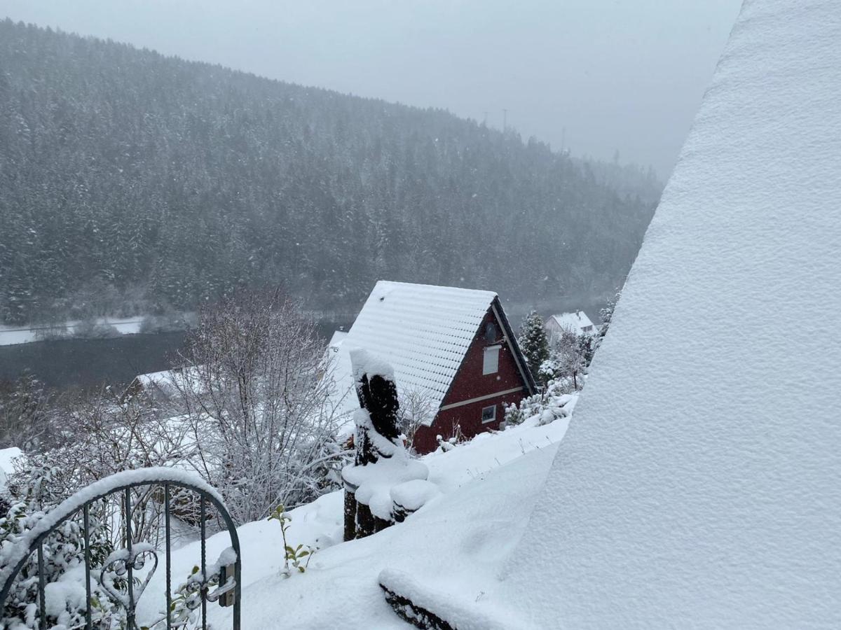 Haus Adler - Komplettes Ferienhaus Am Badesee Erzgrube Exteriér fotografie