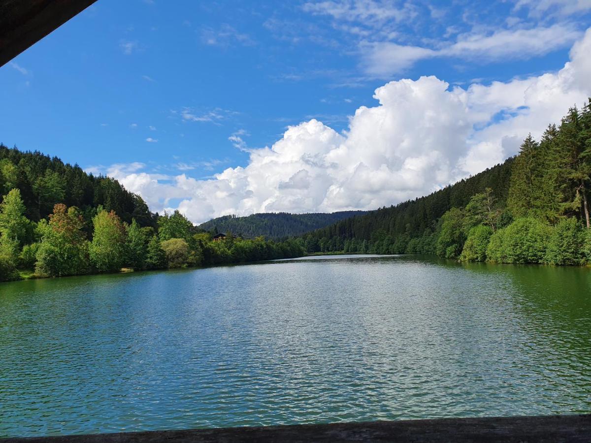 Haus Adler - Komplettes Ferienhaus Am Badesee Erzgrube Exteriér fotografie
